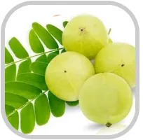 natural ingredients