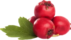 natural ingredients
