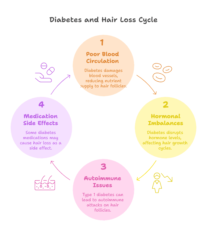Diabetes and Hair Loss Cycle